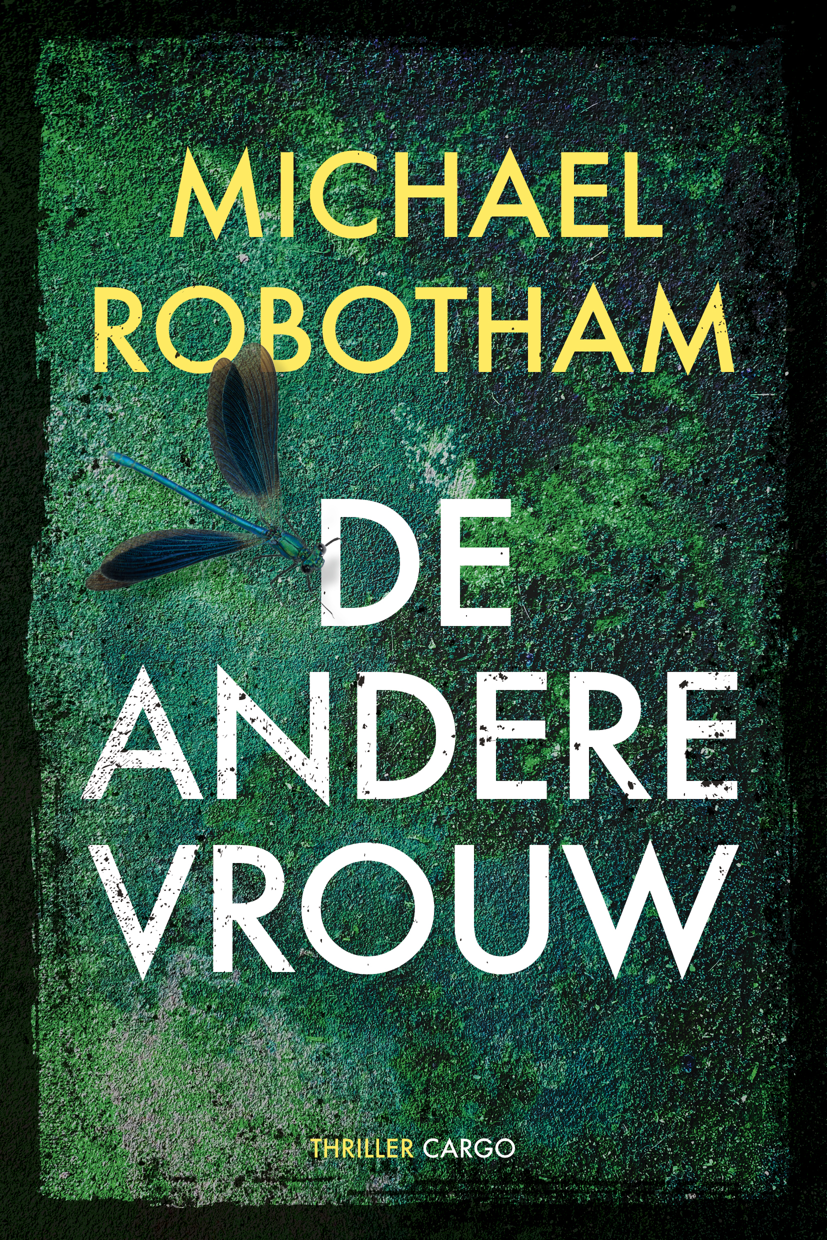De andere vrouw