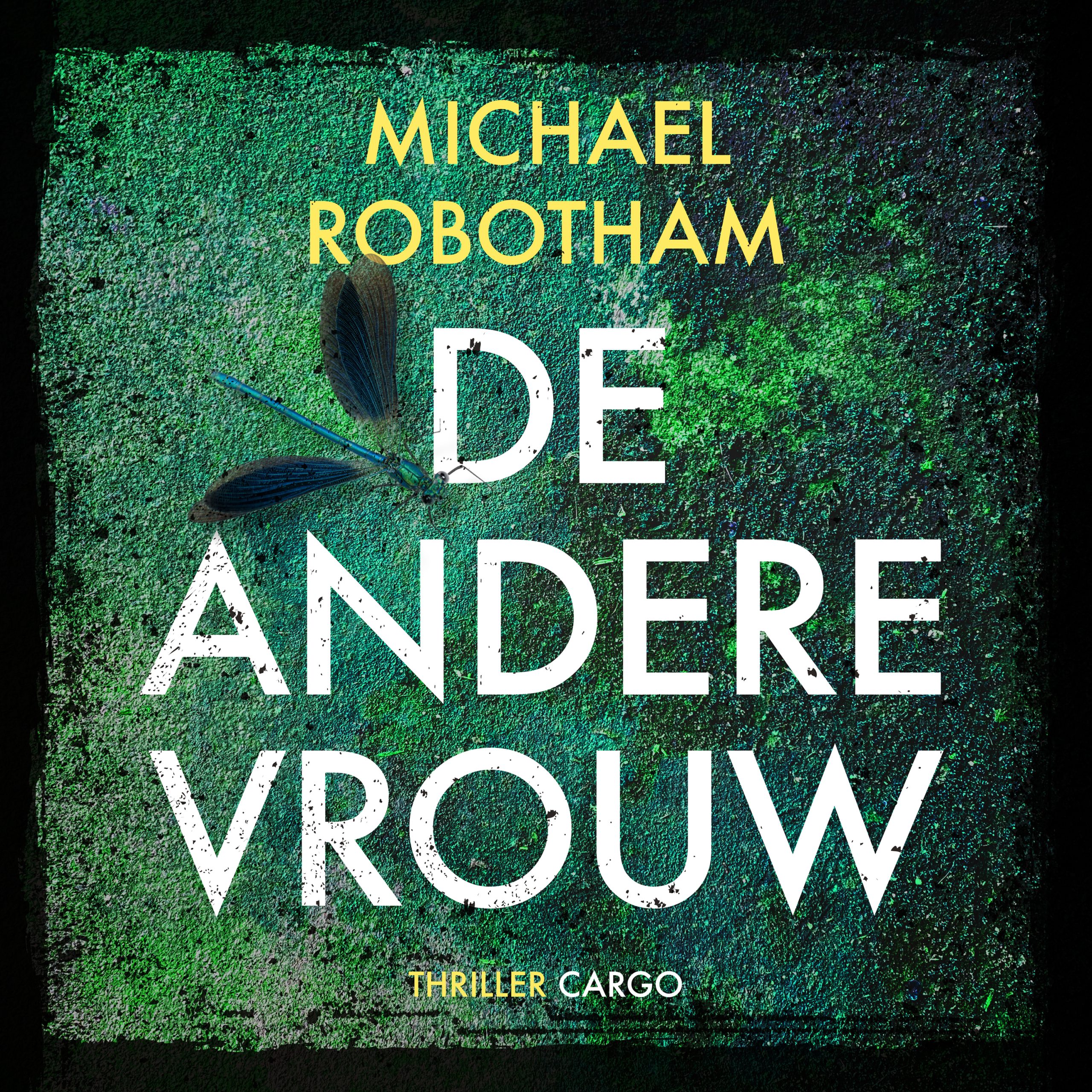 De andere vrouw
