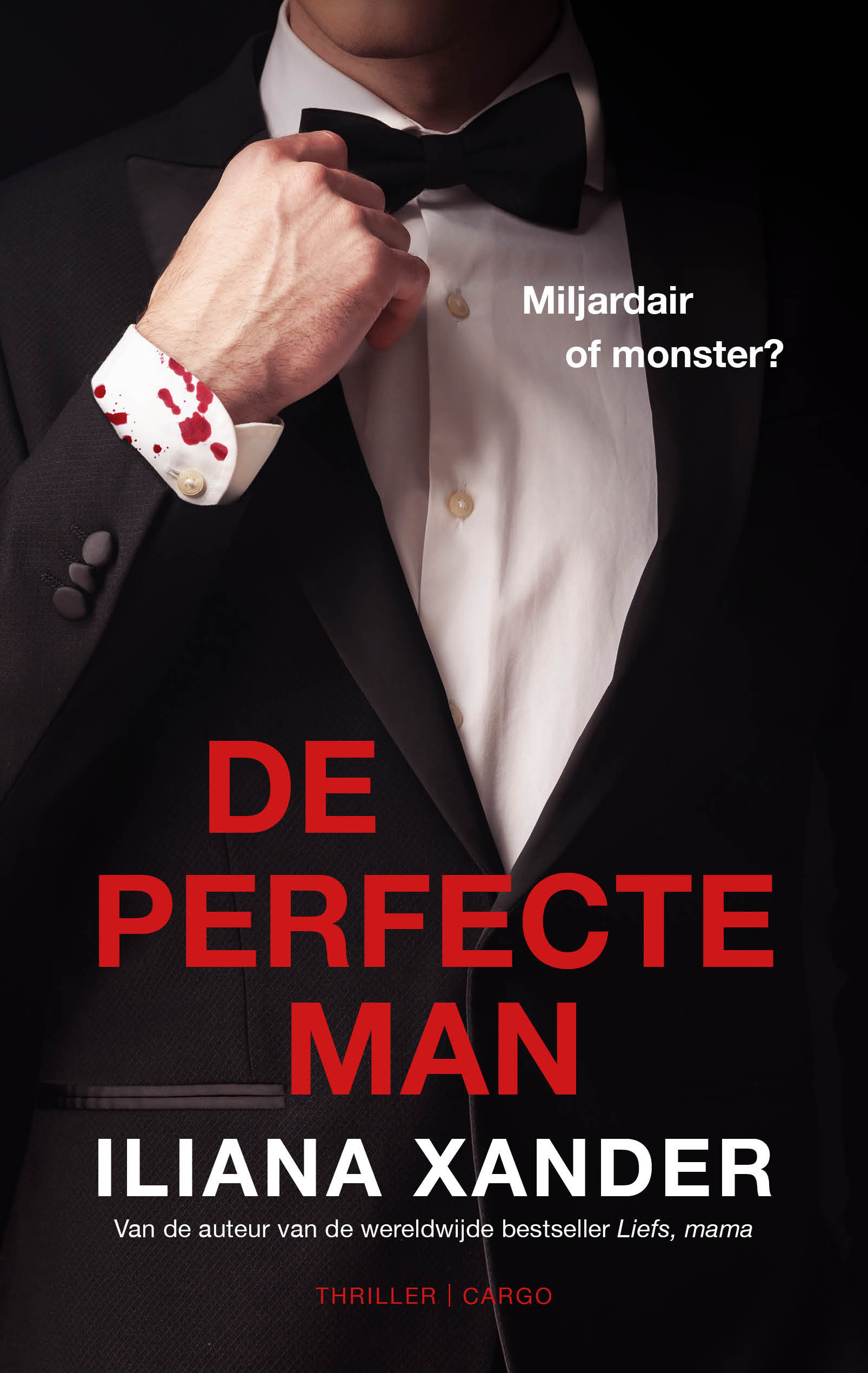De perfecte man