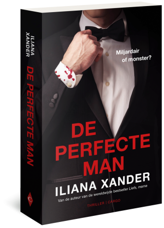 De perfecte man