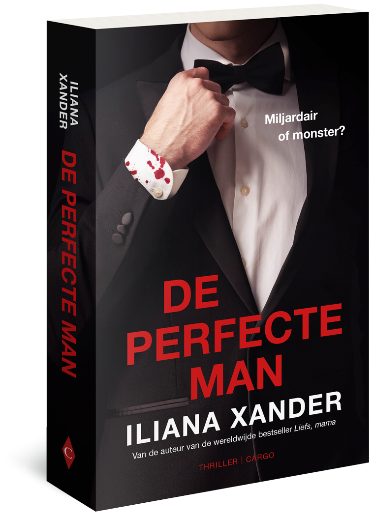 De perfecte man